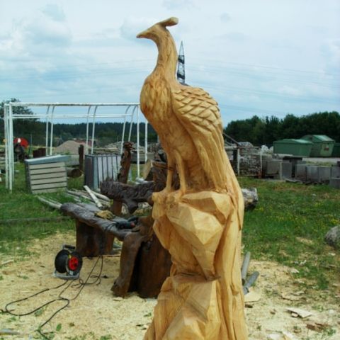 Pfau - 001