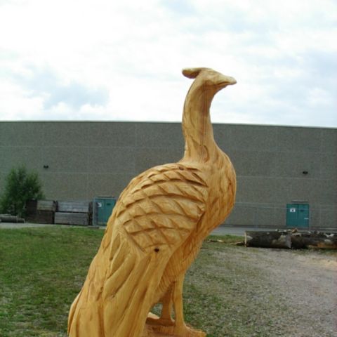 Pfau - 002