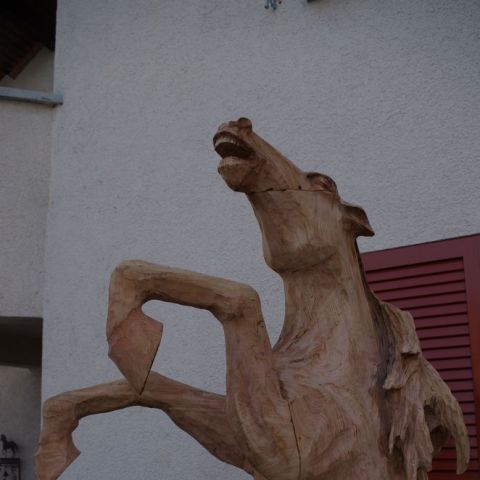 IMGP0031