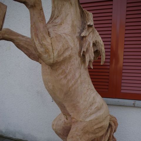 IMGP0032