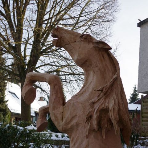 IMGP0039