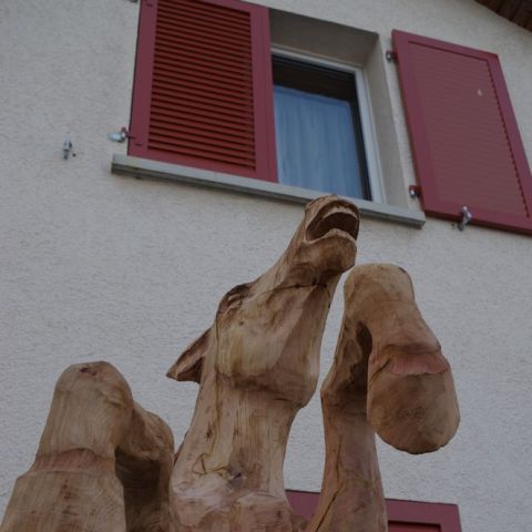 IMGP0042