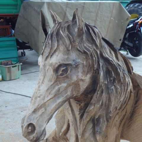 DSC02009