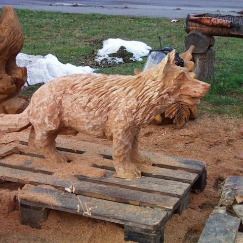Schaeferhund- 02