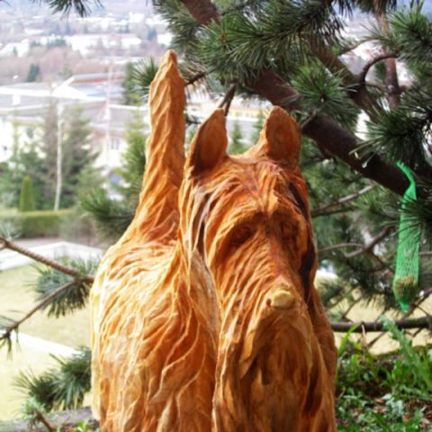 Hund - 001
