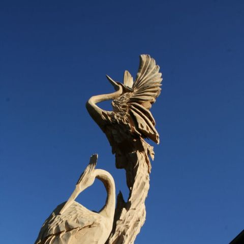 IMG 7755