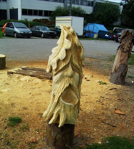 waldgeist003