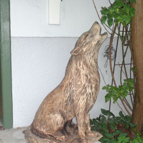 DSC00379