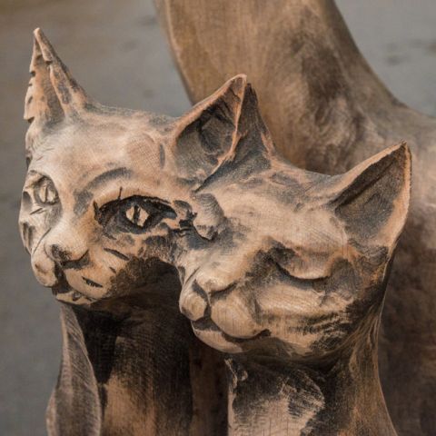 dual katzenbank014
