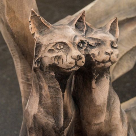 dual katzenbank015