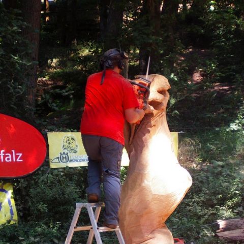 Treffen bei Sigurd - 19