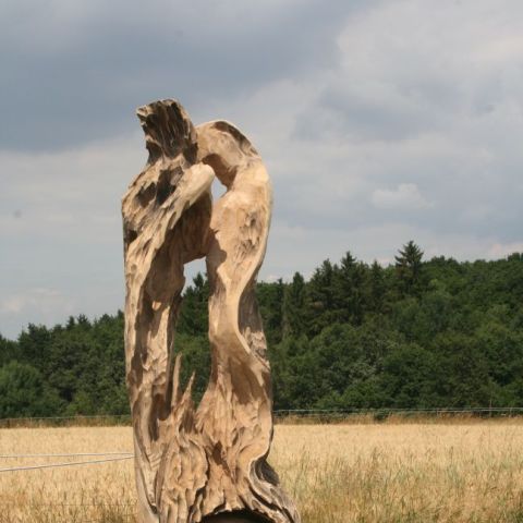IMG 3073