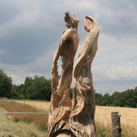 IMG 3093