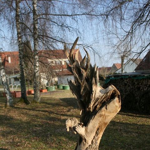 IMG 8017
