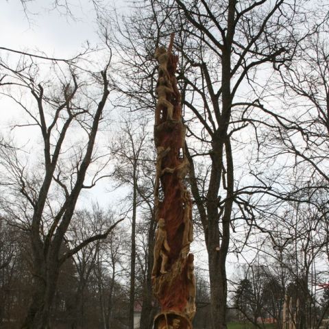 IMG 0941