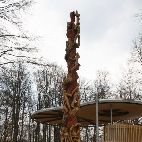 IMG 0944