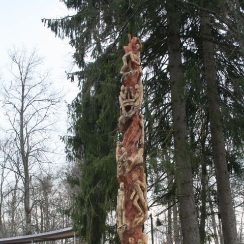 IMG 0949