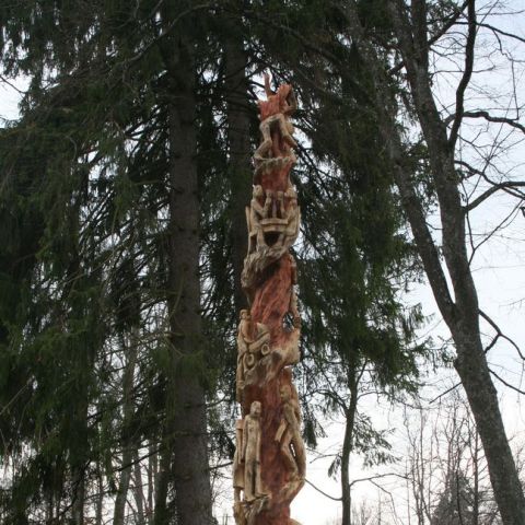 IMG 0950