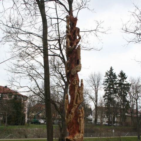 IMG 0951