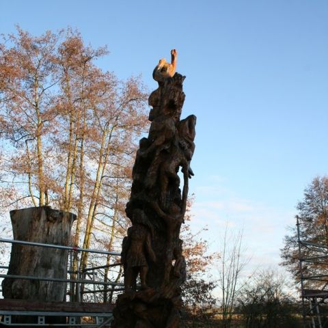 IMG 7181