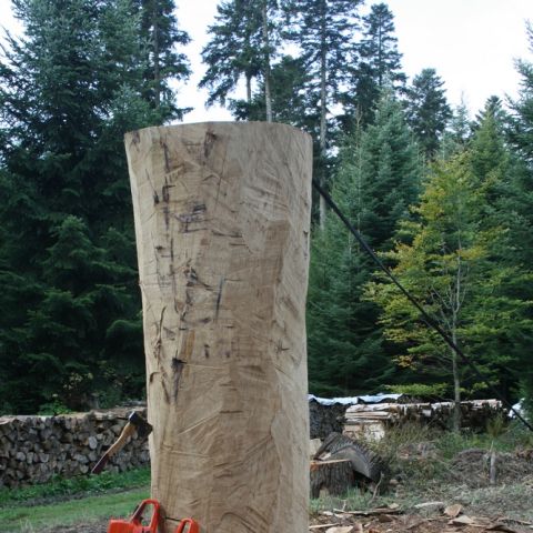 Saeule der Erde - 013