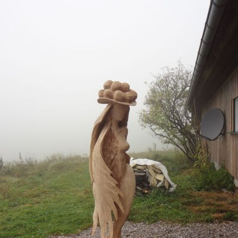 DSC00271