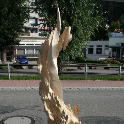 IMG 5151