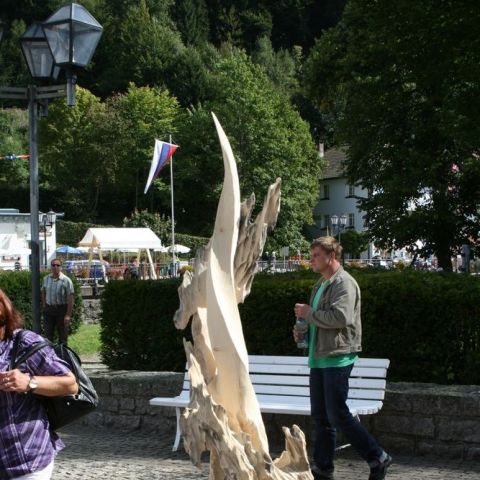 IMG 5329