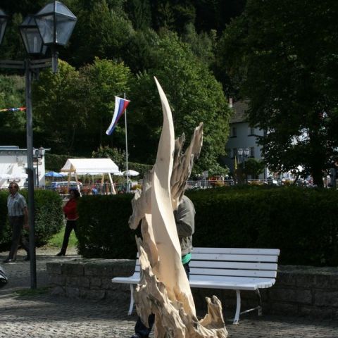 IMG 5330