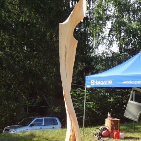 DSC02345