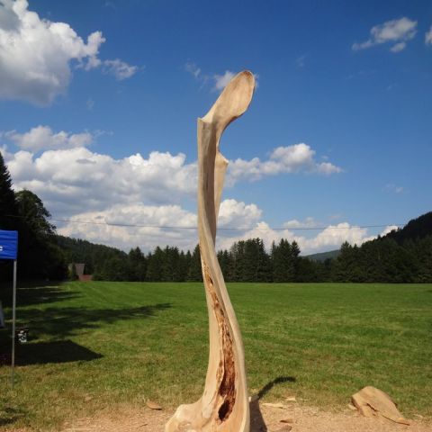 DSC02354