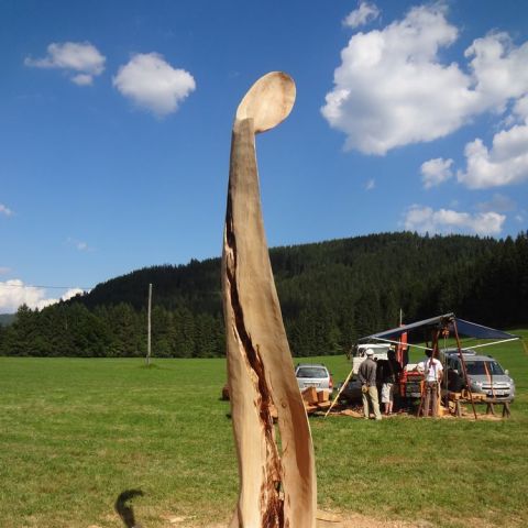 DSC02356