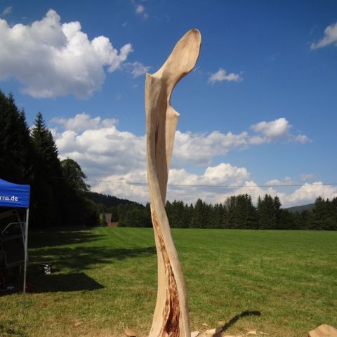 DSC02358