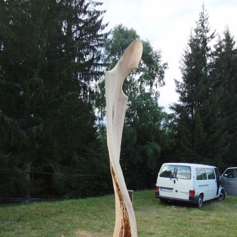 DSC02399