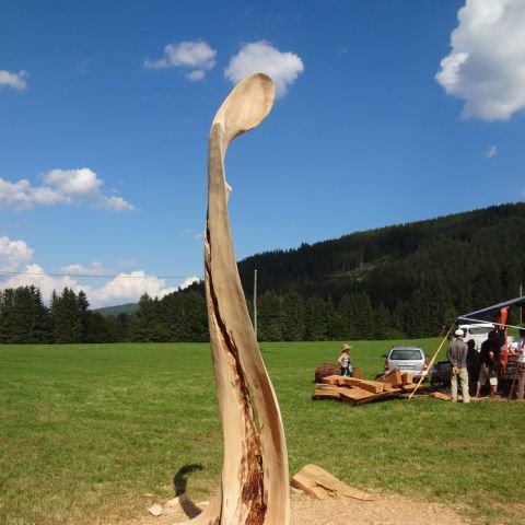 DSC02355