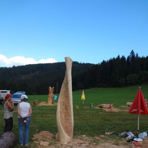 DSC02387