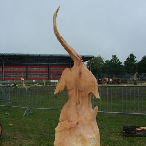 IMG 9960