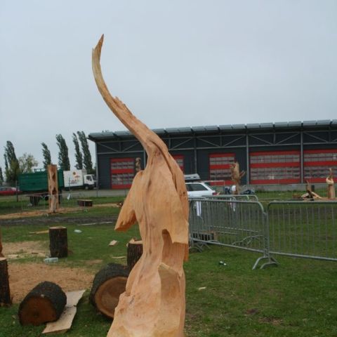 IMG 9961