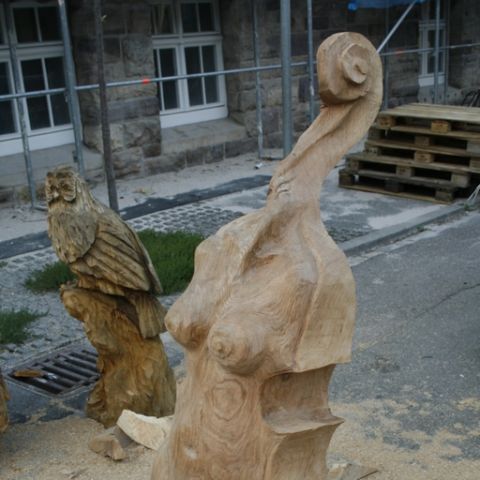 Violine - 07