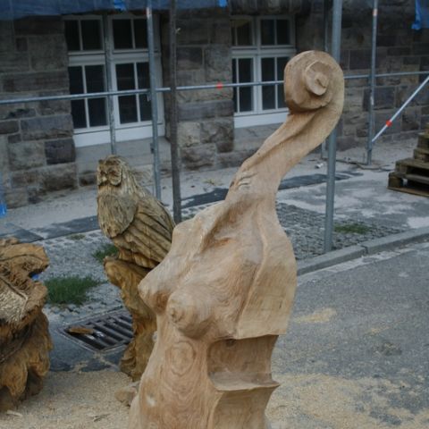 Violine - 08