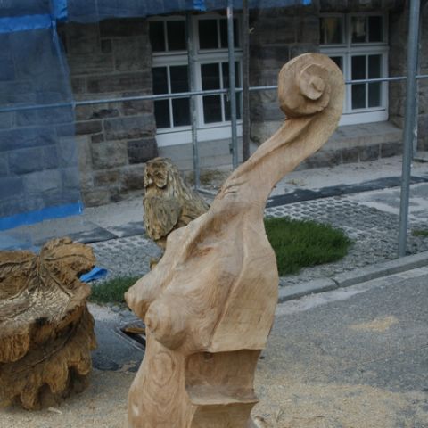 Violine - 09