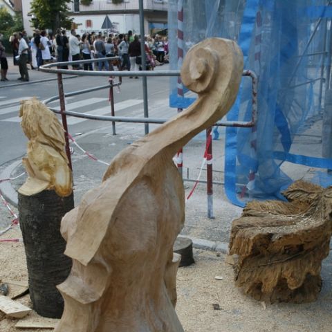 Violine - 15