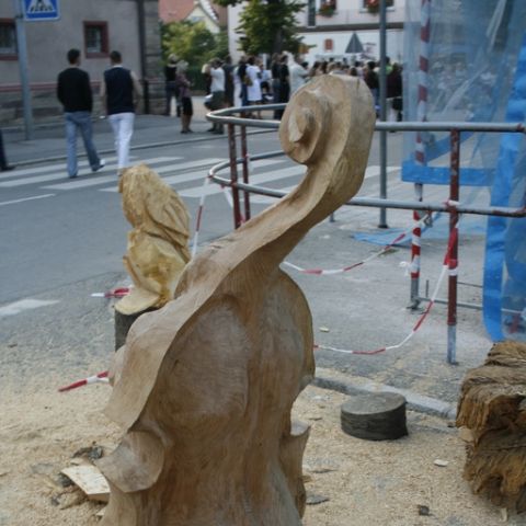 Violine - 16