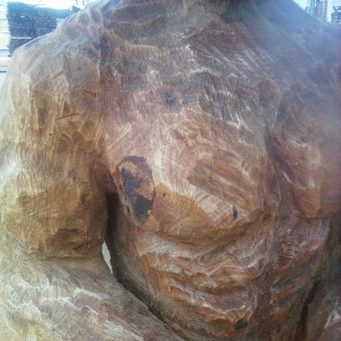 bodybuilder - 04