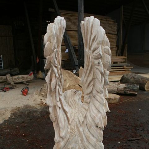 IMG 4789