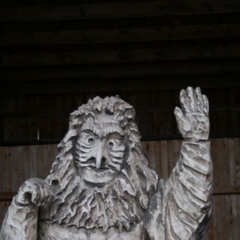 IMG 7523