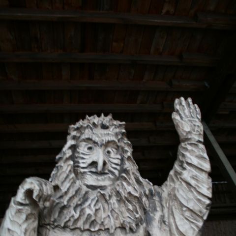 IMG 7527