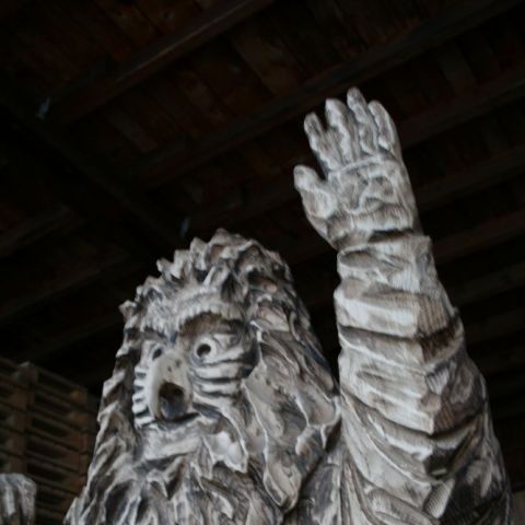 IMG 7530
