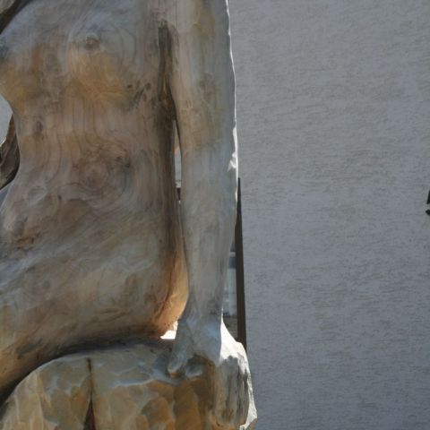 IMG 4042